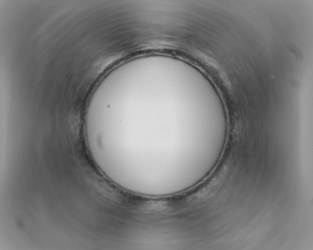 X0000112391313200909032005