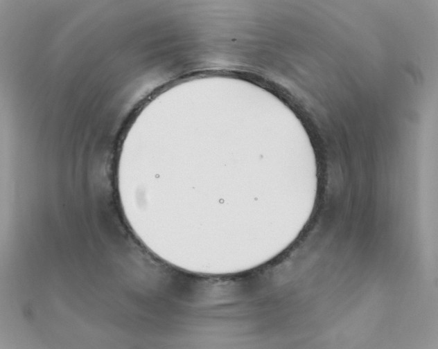 X0000112391314200909032005