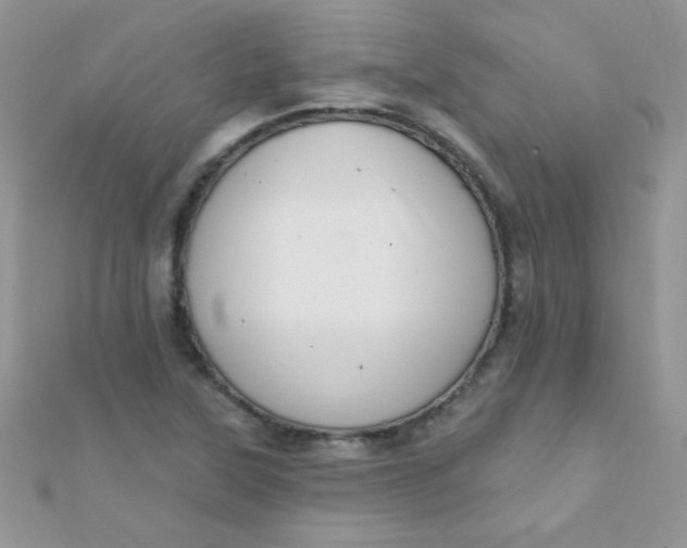 X0000112391315200909032005