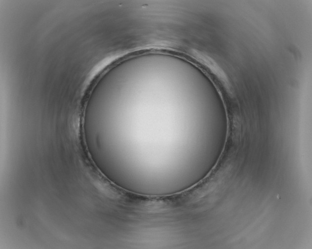 X0000112391316200909032005