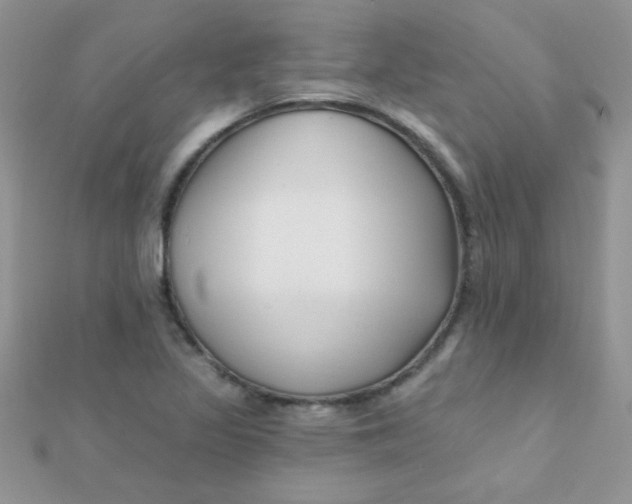 X0000112391317200909032005