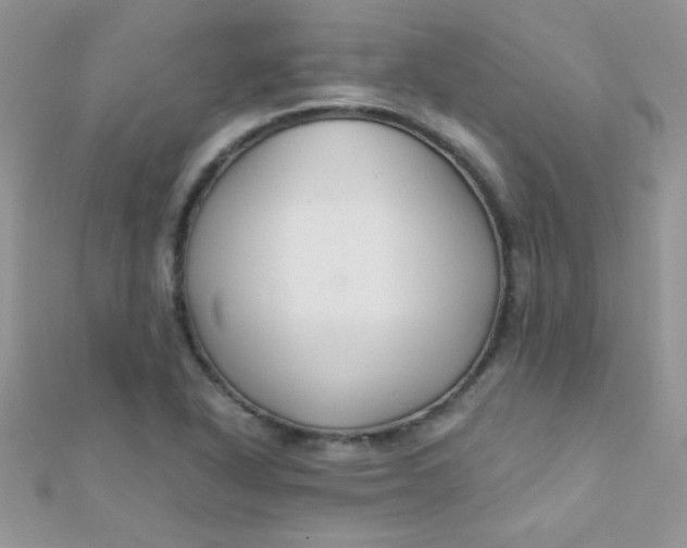 X0000112391318200909032005