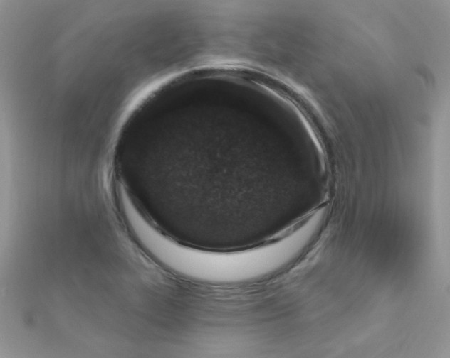 X0000112391319200909032005