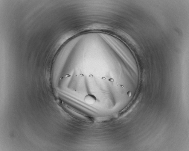 X0000112391321200909032006