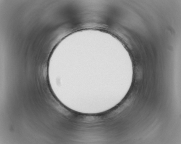 X0000112391322200909032006