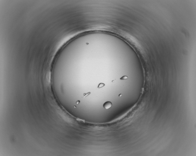 X0000112391324200909032006