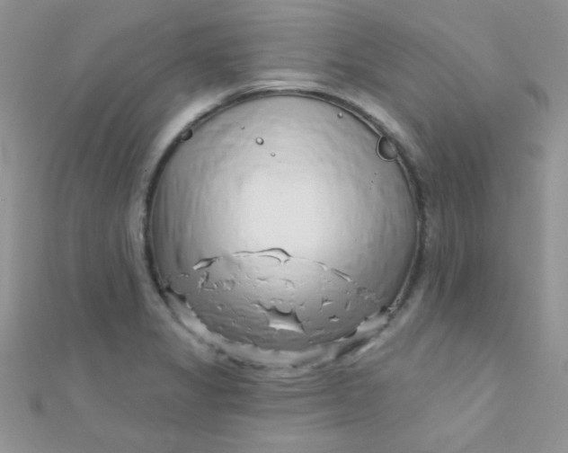 X0000112391325200909032006