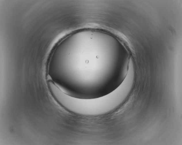 X0000112391326200909032006