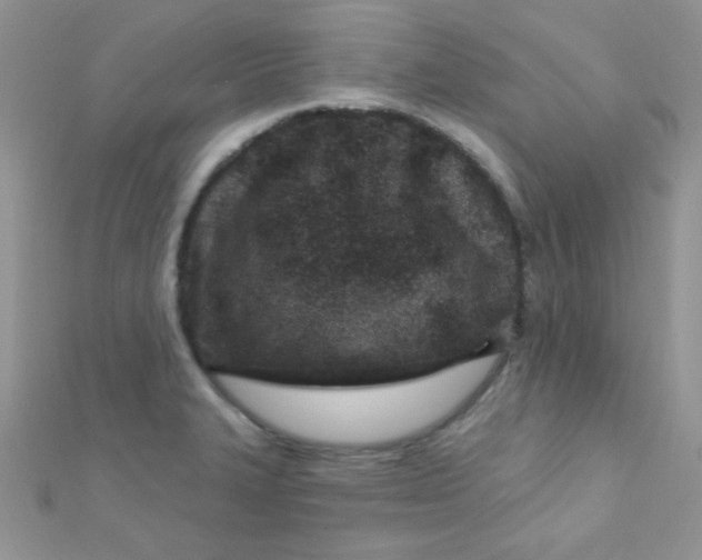 X0000112391327200909032006