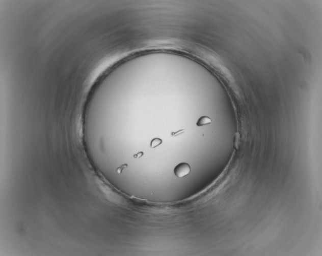 X0000112391328200909032006