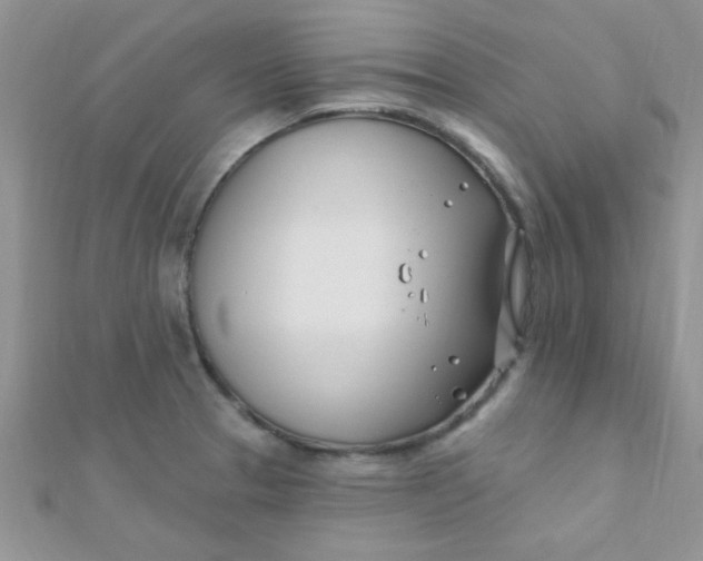 X0000112391329200909032006