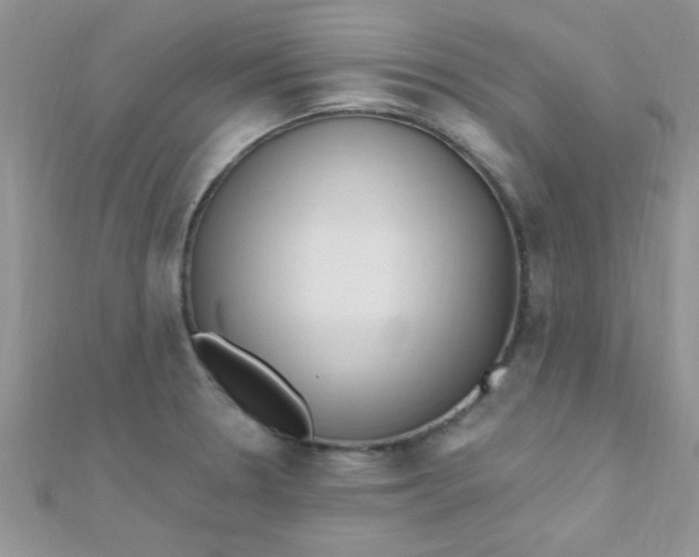 X0000112391330200909032006