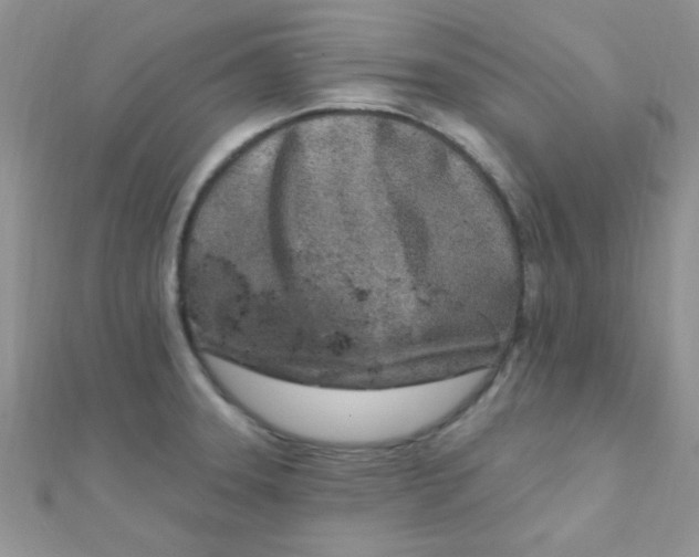 X0000112391331200909032006