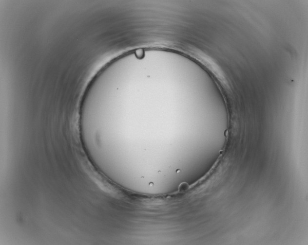 X0000112391332200909032006