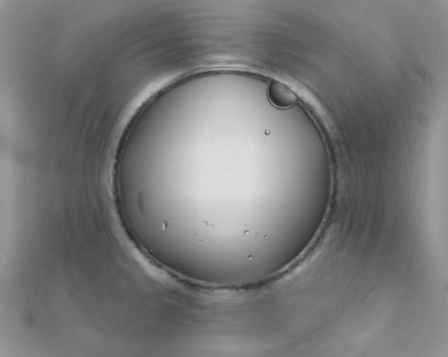 X0000112391333200909032006