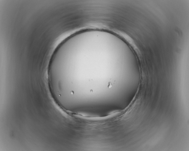 X0000112391335200909032006