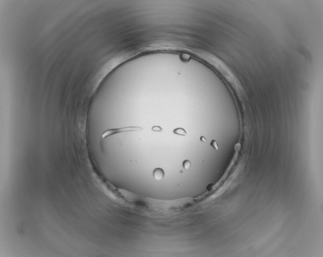 X0000112391337200909032006