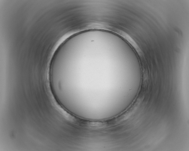 X0000112391339200909032006