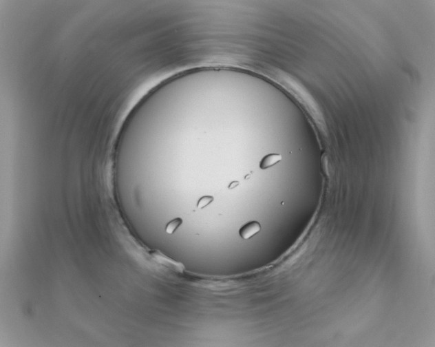 X0000112391340200909032006