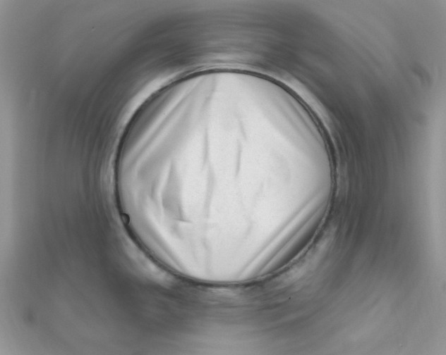 X0000112391341200909032006