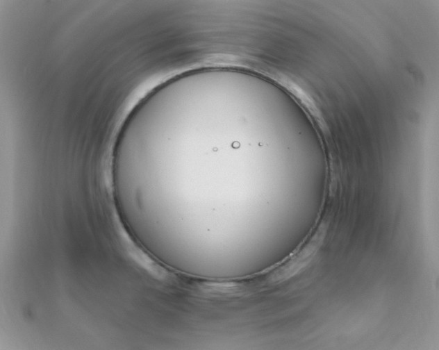 X0000112391342200909032006