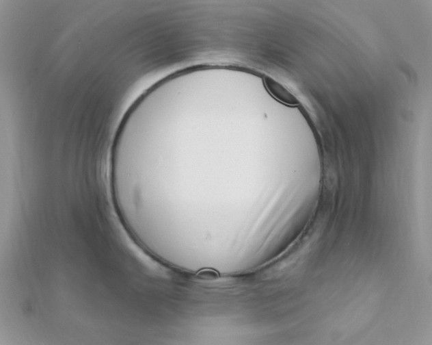 X0000112391343200909032006