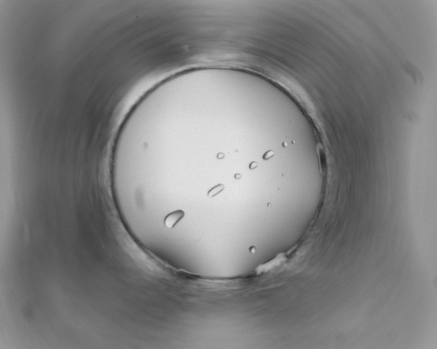 X0000112391344200909032006