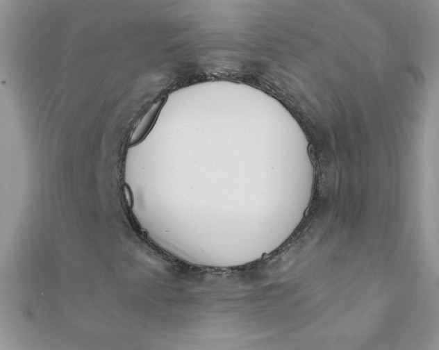 X0000112391345200909032005