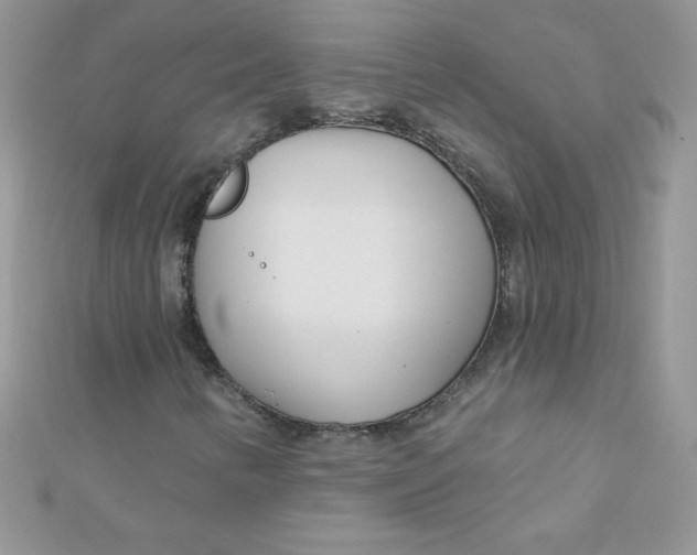 X0000112391346200909032005