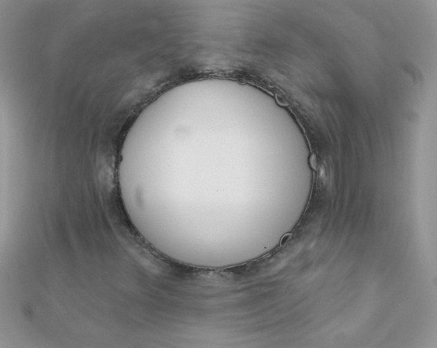 X0000112391348200909032005