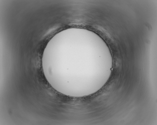 X0000112391350200909032005