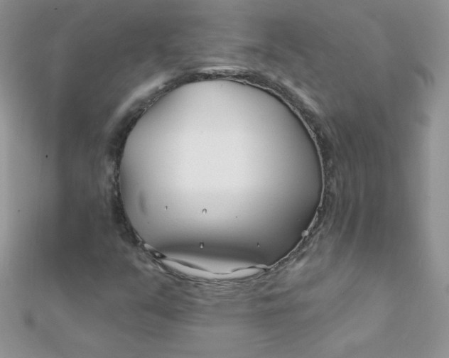 X0000112391351200909032005