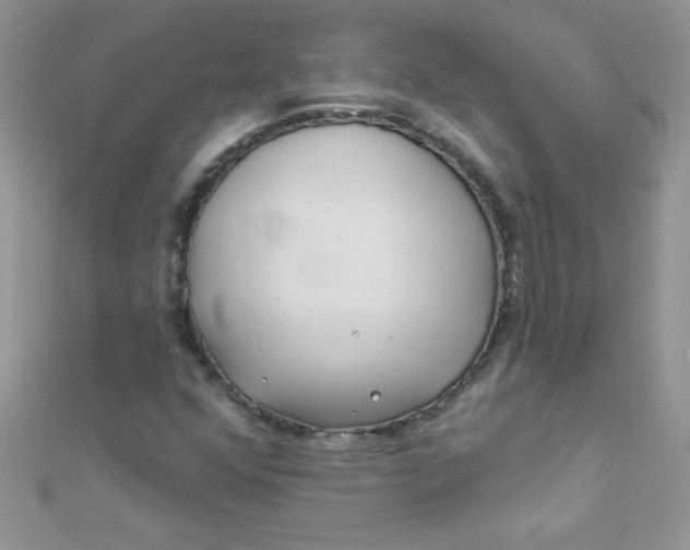 X0000112391352200909032005