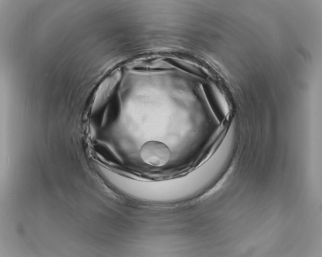 X0000112391353200909032005