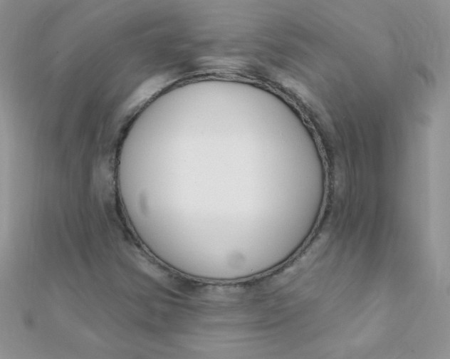 X0000112391354200909032005