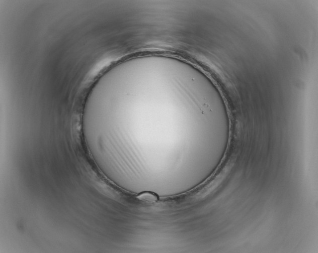 X0000112391355200909032005