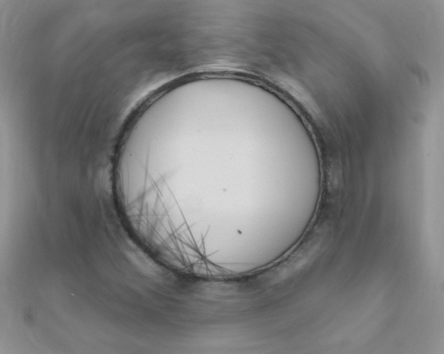 X0000112391356200909032005