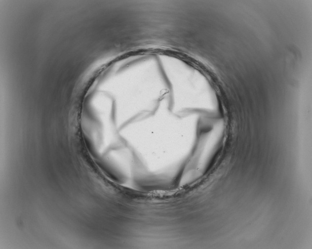 X0000112391359200909032005