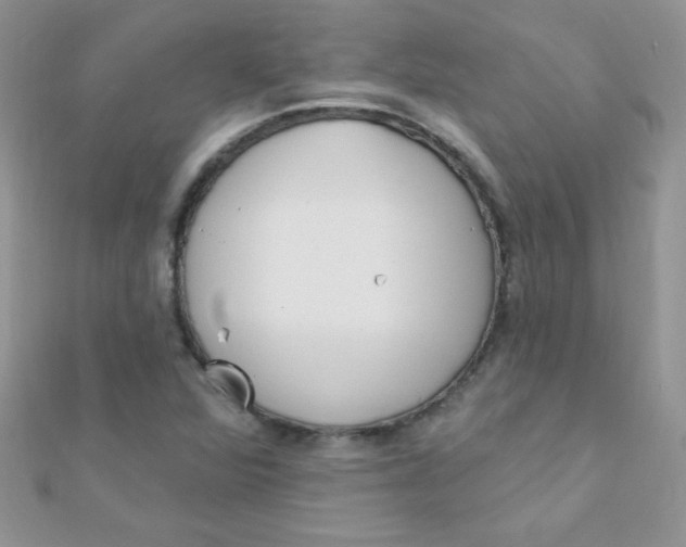 X0000112391360200909032005