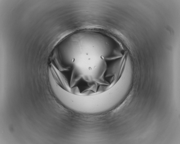 X0000112391361200909032005