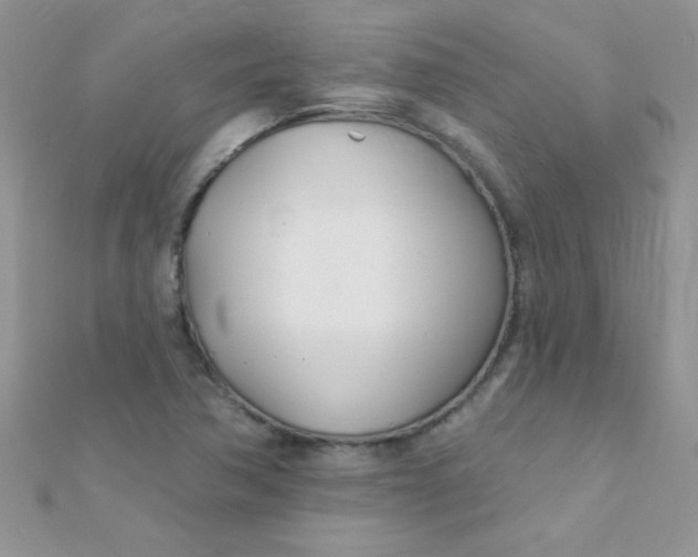 X0000112391362200909032005