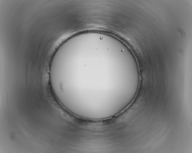 X0000112391363200909032005