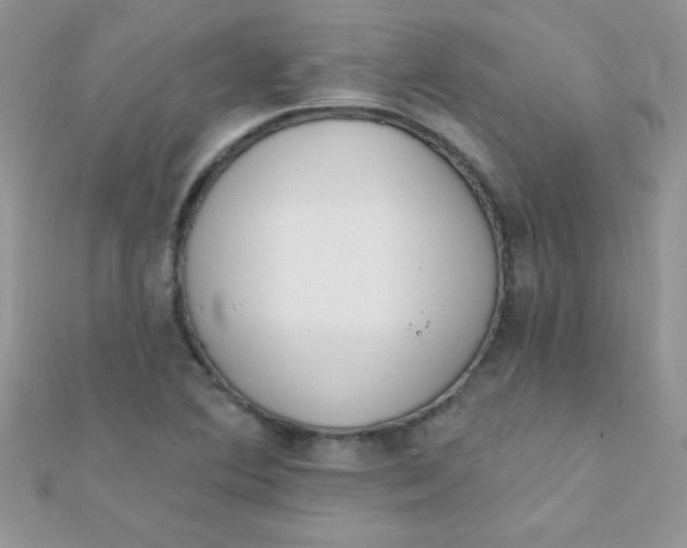 X0000112391364200909032005