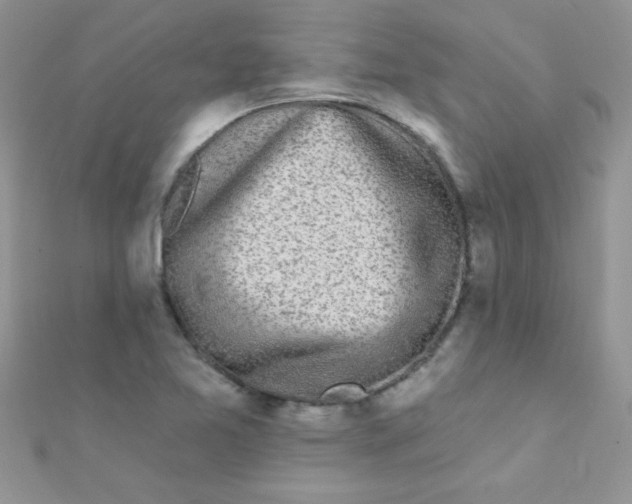 X0000112391365200909032005