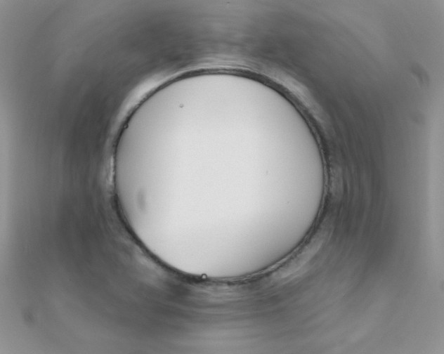 X0000112391366200909032005