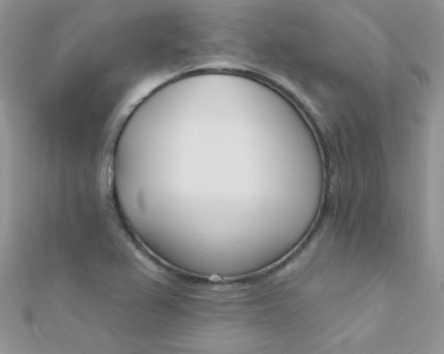 X0000112391367200909032005