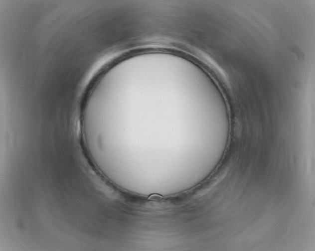 X0000112391368200909032005