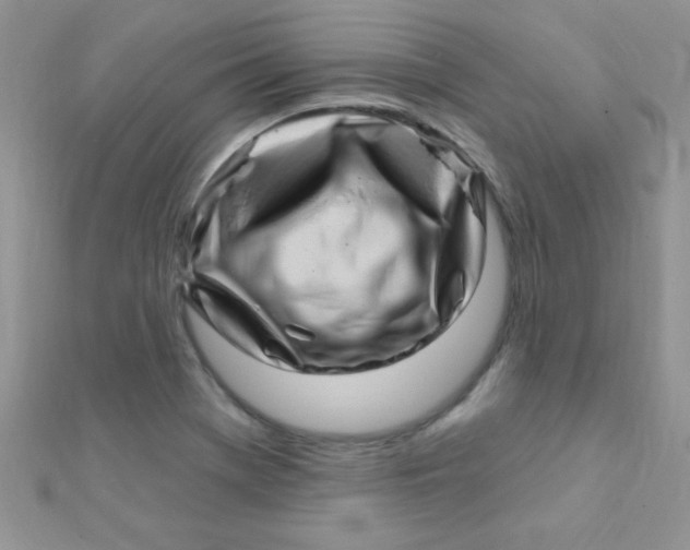 X0000112391369200909032005