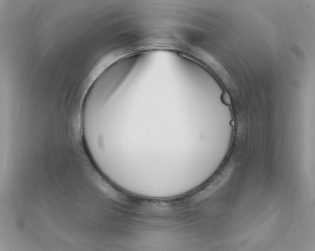 X0000112391370200909032005