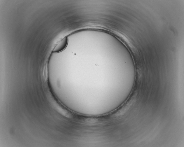 X0000112391371200909032005